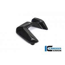 Ilmberger Carbon Spark Plug Cover, Right Side for the BMW R 1250 R/RS/GS/GS Adventure 2019